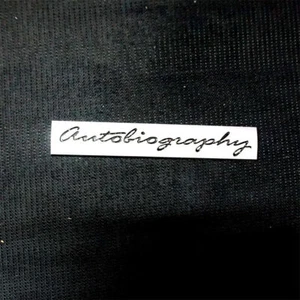 1x Silver Matte autobiography Metal Sticker Badge Emblem Decal Edition Sport AWD - Picture 1 of 17