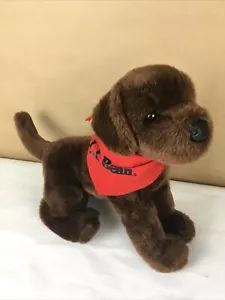 LL Bean TUCKER the Plush CHOCOLATE LAB Dog 11” Douglas Toys - Picture 1 of 8