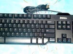 Dell Genuine Wired Keyboard USB Model L100 /sk-8115 Mechanical 104-Keyboard - Picture 1 of 4