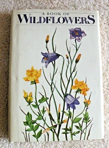 Morrow A BOOK OF WILDFLOWERS by Dr. William A. Niering 1984 Hardcover Book - Picture 1 of 4