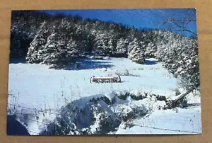 UNUSED POSTCARD - WINTER IN ILLINOIS - Picture 1 of 2