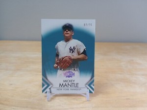 JERSEY NUMBER MATCH 2012 Topps Triple Threads MICKEY MANTLE #'d 7/25 CLEAN