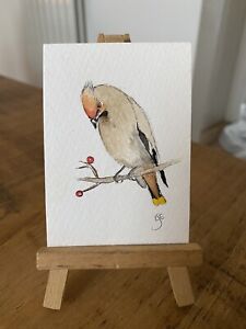 ORIGINAL ACEO Miniature Painting Wildlife/birds: Waxwing By Lisa EVANS