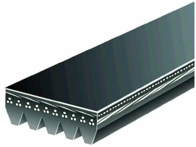 For 2009 Pontiac G3 Wave Multi Rib Belt AC Delco 29293ZY 1.6L 4 Cyl GAS - Изображение 1 из 2