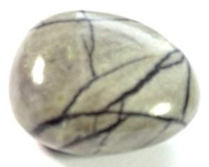 LARGE NET  JASPER TUMBLESTONE - (SPIDERS WEB JASPER)  2.8 x 2.1 cm  16.36 gms #A - Picture 1 of 5