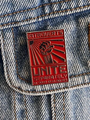 ¡Introvertidos Unite! "Pin divertido esmalte plateado por separado, en tus propias casas" Foto 1 de 4