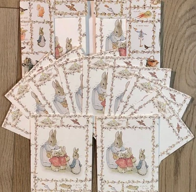 RARO 10 tarjetas de billetes en blanco Beatrix Potter Peter Rabbit con sobres en estuche 1998 Foto 1 de 4