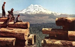Tren cargado de troncos Northwest Harvest Mt. Postal vintage Rainier, WA Logging años 50 - Imagen 1 de 2
