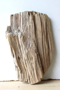 Treibholz Schwemmholz Driftwood 1 knorrige Skulptur Basteln Dekoration 29 cm - Bild 1 von 13