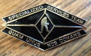 Hat Lapel Pin Specialized Services Team Quam Unus Nos Domare Diamond - Picture 1 of 1