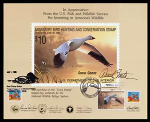 Federal duck stamp souvenir card, RW55 — Card 17 FDC - Picture 1 of 1