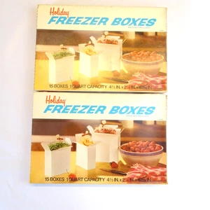 Vintage Holiday Freezer Boxes Quart Size Lot of 2 - Picture 1 of 7