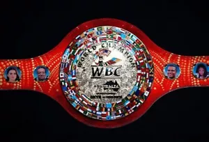 New WBC Australia Homecoming Skye Brown Boxing Championship Belt 4mm Zinc - Picture 1 of 2