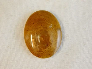 Fossil Palm Wood Cabochon - Picture 1 of 6