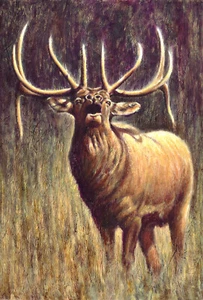 Elk painting, Wildlife art, animal artwork, Canvas print - Picture 1 of 12