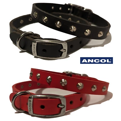Collar para perro negro o rojo cuero tachonado Ancol Heritage 20-26 cm cachorro pequeño Foto 1 de 4