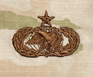 US Air Force Senior Supply & Fuels Badge OCP Sew-On USAF - Picture 1 of 2