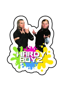 Hardy Boyz  Wrestling Custom Vinyl Die Cut Sticker 3.5x2.5 - Picture 1 of 1