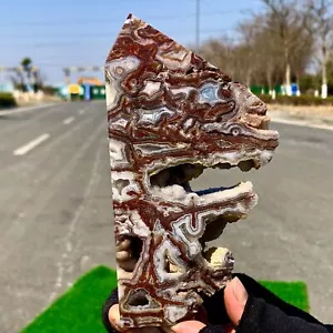1.31LB Natural Crazy Banded Lace Agate Crystal Polished Slice Mexican Healing - Picture 1 of 24