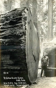 1941 Redwood Highway California Humboldt Patterson RPPC Postcard 25-10310 - Picture 1 of 2