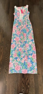 全新带标签 - $298 Lilly Pulitzer Guilianna 弹力长裙,尺寸 2 Spring In Step — 第 1/4 张图片