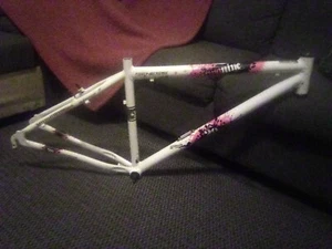 29" Two Nine Assault Genesis Bicycle Frame - Picture 1 of 22