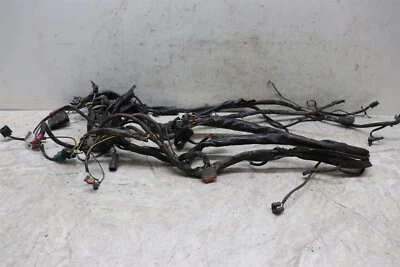 Arnés de cables de motor principal Harley Road King 2002-2006 telar eléctrico Foto 1 de 4