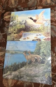 2 VTG 3D LENTICULAR WHITETAIL DEER MALLARD DUCK PICTURES KITSCH CABIN LAKE DECOR - Picture 1 of 5