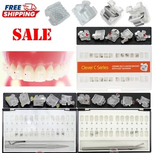 Creative Orthodontic Self Ligating Ceramic Bracket Damon Clear Empower Braces AO - Picture 1 of 56
