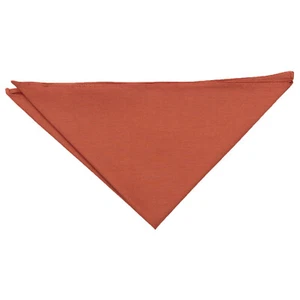 Rost Taschentuch Tasche quadratisch massiv einfach Shantung formell von DQT - Bild 1 von 1