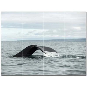 Whale Ceramic Tile Wall Mural PT501191. 17" W x 12.75" H (12) 4.25 tiles - Picture 1 of 1