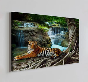 Tiger entspannt unter dem Baum Leinwandbild Wandbild, Wohndeko Wandbehang - Bild 1 von 10