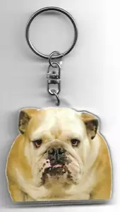 ENGLISH BULLDOG CHIEN DOOR CLES / ENGLISH BULLDOG K.FOB - Picture 1 of 2