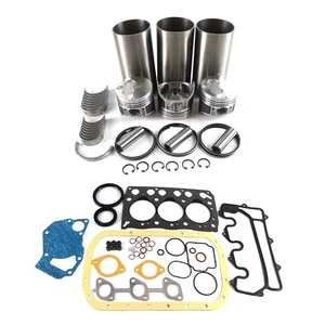 PANGOLIN 3LB1 Engine Rebuild Kit For Hitachi EX55 IHI 16N 17NE Mini-Excavator - Picture 1 of 7