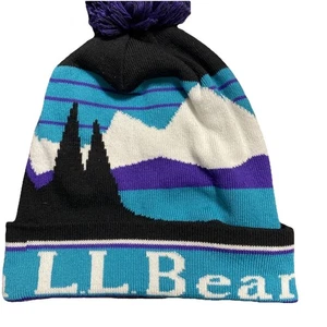 LL Bean Katahdin Winter Pom Pom Hat Black Teal Purple Warm Cozy Preppy Gorpcore - Picture 1 of 7