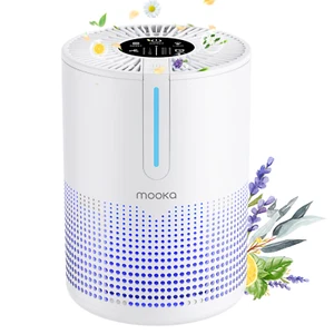 Air Purifier for Large Room Allergies Home Pet, Smoke, Double H13 HEPA Filters - Picture 1 of 6