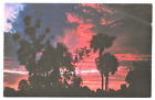 Florida Sunrise 1960S Koppel Color Cards & Florida Natural Photo By Evelyn Banta