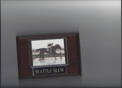 SEATTLE SLEW PLAQUE HORSE RACING TURF TRIPLE CROWN WINNER Cover