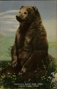 Alaska Peninsula Giant Bear Linen Unimark Island AK Postcard - Picture 1 of 2