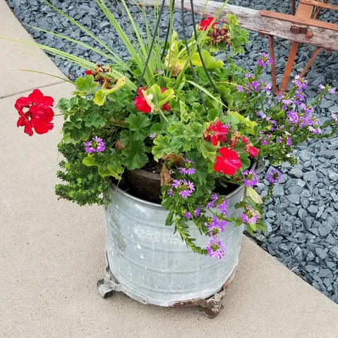 Farmhouse GALVANIZED BUCKET Vintage Mop INDUSTRIAL COUNTRY PLANTER White Cover