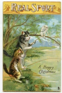 Katzen Boulanger Echt Sport Angeln Antike Postkarte - Bild 1 von 2