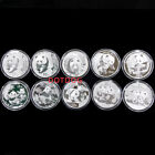 10Pcs China 2001-2010 10Yuan 1oz Silver Coin China Panda Coin