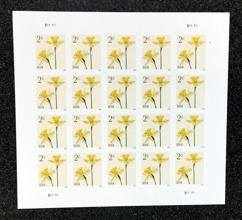 2024USA #5898 2c Daffodils - Sheet of 20  Mint NH    flower - Image 1 of 1