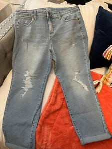 Style & Co. skinny jeans 14P - Picture 1 of 4