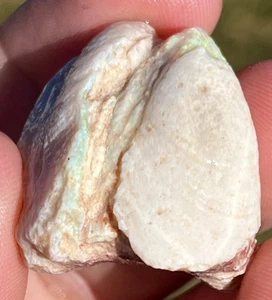 Opal Shell Fossil 37ct Coober Pedy Large Australian Opals Gem Fossils Fossilised - Picture 1 of 10