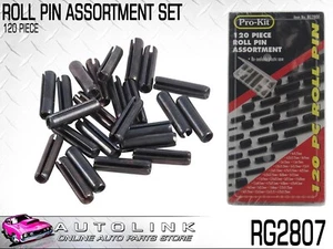 PROKIT 120 PIECE ROLL PIN ASSORTMENT KIT VARIOUS SIZES IN PLASTIC CASE RG2807 - Picture 1 of 2