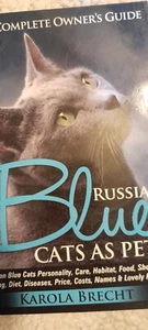 Russian Blue Cats As Pets. Personality, Care, Habitat, Feeding, Shedding, Diet, - Bild 1 von 6