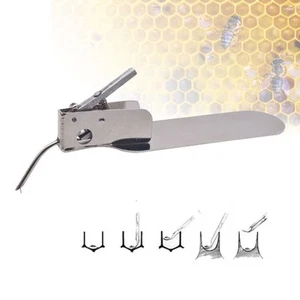 Imker Königinnenzucht Imkerei Pfropfwerkzeug Übertragen Bienen - Picture 1 of 7
