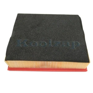 For SPRINTER 2500 / SPRINTER 3500 03-06 AIR INTAKE FILTER, with Foam Pad - Imagen 1 de 6