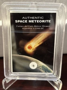 Authentischer Weltraummeteorit - Campo del Cielo Argentinien 2200 v. Chr. C - Bild 1 von 3